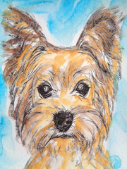 ACEO Original SUPER CUTE YORKIE YORKSHIRE TERRIER DOG Watercolor Painting