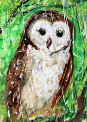 ORIGINAL ACEO PAINTING Barn OWL Spring Rain BIRD Animal Tree Farm Nature ATC ART