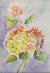 Hydrangea Original Watercolor Painting Flowers Wall Art Hand Made Painted