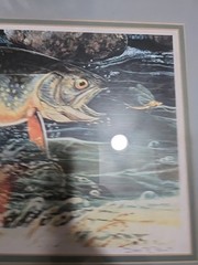 Framed Signed Print Peacock Bass Dan Perotti Wildlife Art Painting