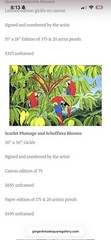 Sal Salinero Florida Artist Scarlet Plumage and Schefflera Blooms 36×26 Giclee