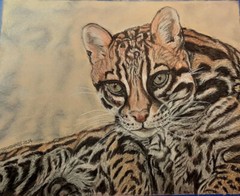 Ocelot Original Pastel Painting, Unframed