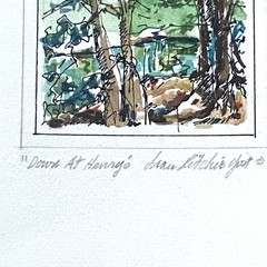 Original Watercolor Painting Forest Nature Framed Signed Fran Ritchie Yost F