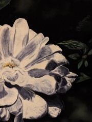 Large Gardenias Silk Floral Picture Art White Black Framed Stunning! 31×23″