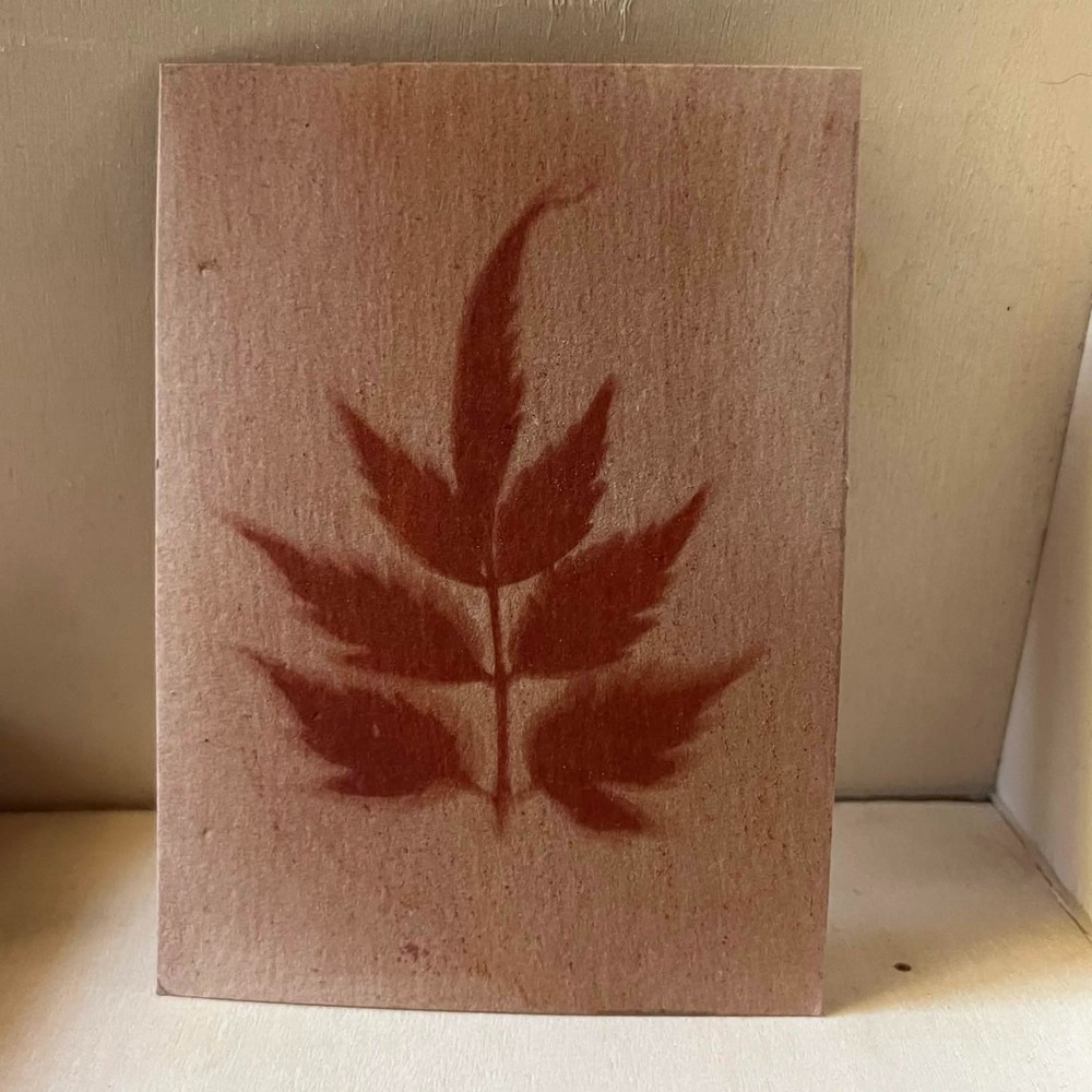 ACEO Original Art Card 2.5 x 3.5 anthotype mini painting leaf