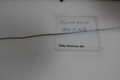 ARTIST POLLY NORMAN ORIGINAL ABSTRACT ART PHOTOGRAPHY HORSEBACK SIGNED AP