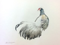 Pheasant, Birds, Watercolor artwork, Handmade, Original painting on paper