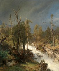 Art Oil painting wild animal black bear in landscape by creek with flying bird