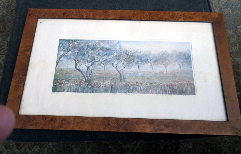 Lovely Italian Watercolor Signed, Numbered 104/250 & Framed