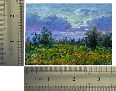 ACEO Original Oil Painting Meadow#9 Landscape Art Card Impasto 2.5×3.5inches OS