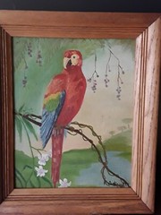 Vintage Framed Parrot With Flowers Painting Signed