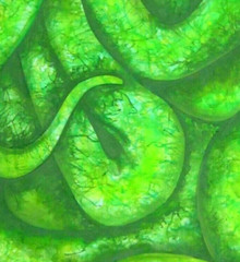 green snake serpent cobra modern art contemporary painting animals head nature