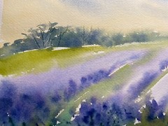 Original Watercolor Painting Landscape Nature Flowers – 9×12 inches – NEW