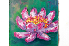 Lotus in a Pond Oil Painting, Original Painting Water Lily, No Frame, 15×15 cm