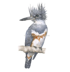 Kingfisher Hand-Painted Watercolor Original, Unframed