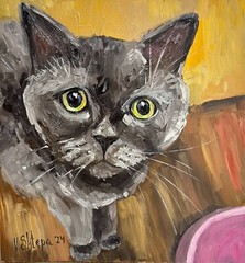 Oil Painting Original British Funny Cat Portrait Impressionism Kitten Signed Art