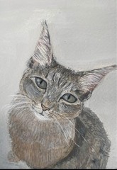 Custom Pet Portraits – Hand painted To Order.