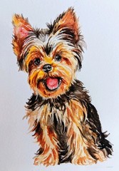 Yorkshire terrier Dog art,pet Puppy Original Watercolor Painting 5×7″