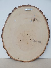 Hand Painted Lake Superior Seagull Wood Cut-Out On Live Edge Basswood By Phyllis