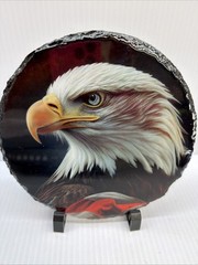 Bald Eagle Glossy Picture on Black Slate Wall Art 7.5″ With Stand