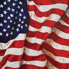 U.S.A. Flag Print