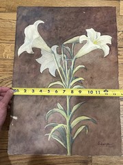 Antique Watercolor Painting on Paper 30s Brazilian Edwiges Jacobusich- Flower