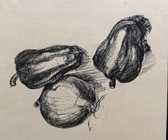 Ink Drawing Peppers Onion Obsieger Class 1957 Postenrieder Erich