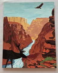Completed paint by number picture Grand Canyon National Park 8 x 10 on cardboard