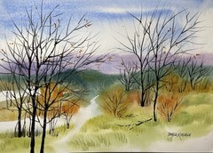 Pamela Wilhelm Loose Original Watercolor 8”x11.5” The View From The Clearing