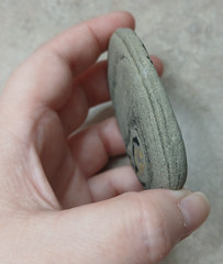 Pet Rock Hand Painted Rock Art Gag Gift Cat
