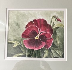 original watercolor painting dark red pansy signed N. Trider matted framed